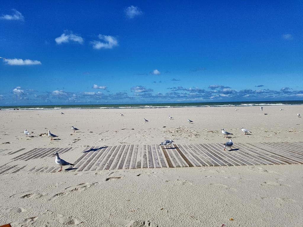 Les Fruits De Mer, Terrasse Sud, Parking Gratuit, Calme Et Tout A Pied Berck ภายนอก รูปภาพ